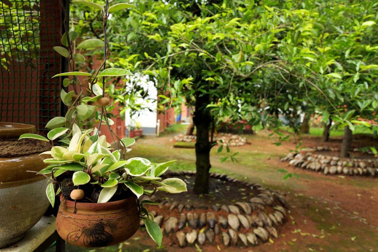 StayVista at La Riva Heritage Villa Alappuzha Esterno foto